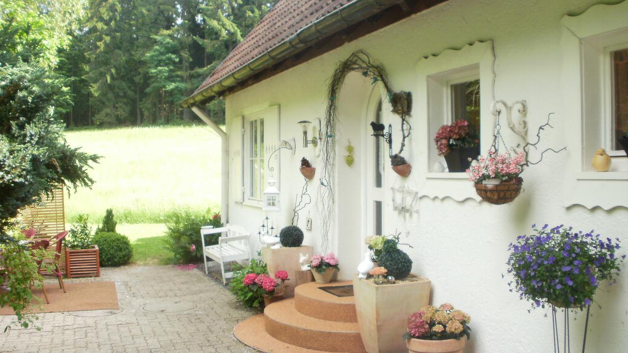 Gaestezimmer Im Haus Am Wald Freudenstadt Exteriör bild